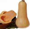 v_squashbutternut.jpg